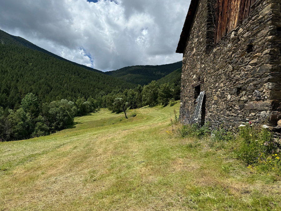 REPTES MEDIAMBIENTALS