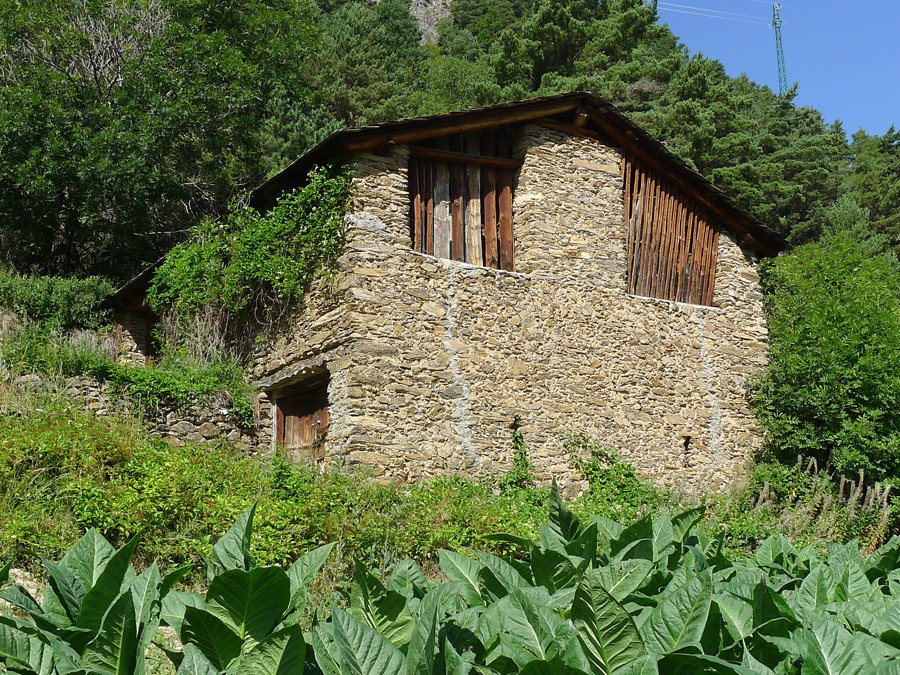 TURISME RURAL